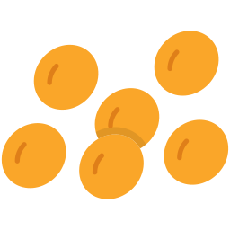 lentil